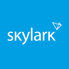 VPN Skylark Безопасный серфинг в интернете